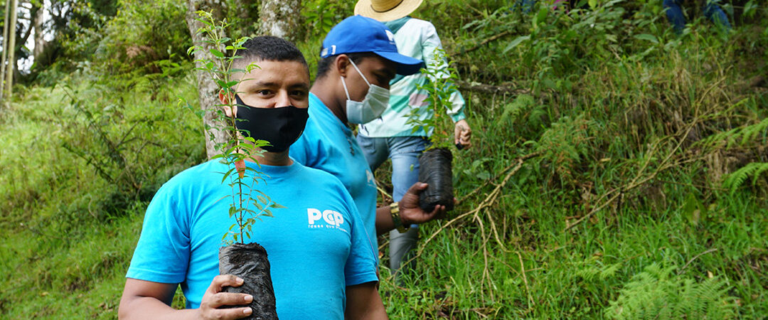 En PCP sembramos futuro